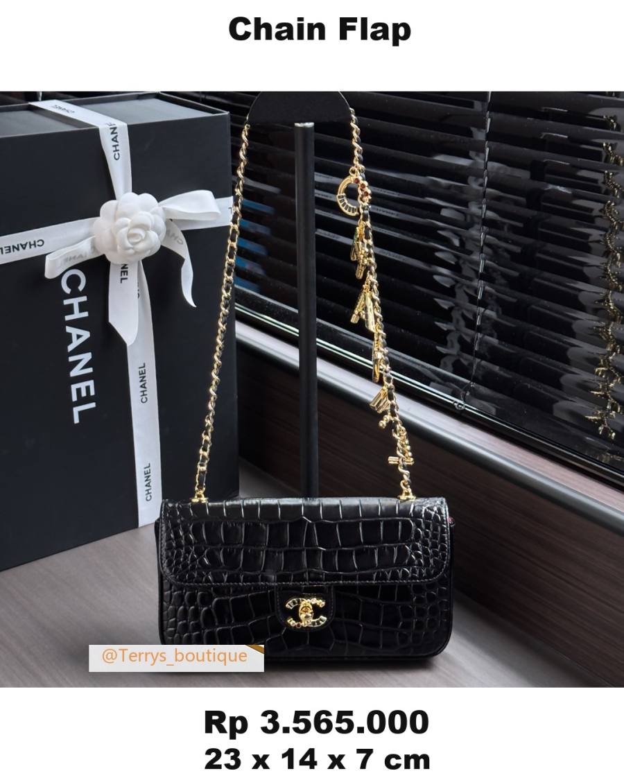 Chanel Chain Flap 23 x 14 x 7 EE9F
