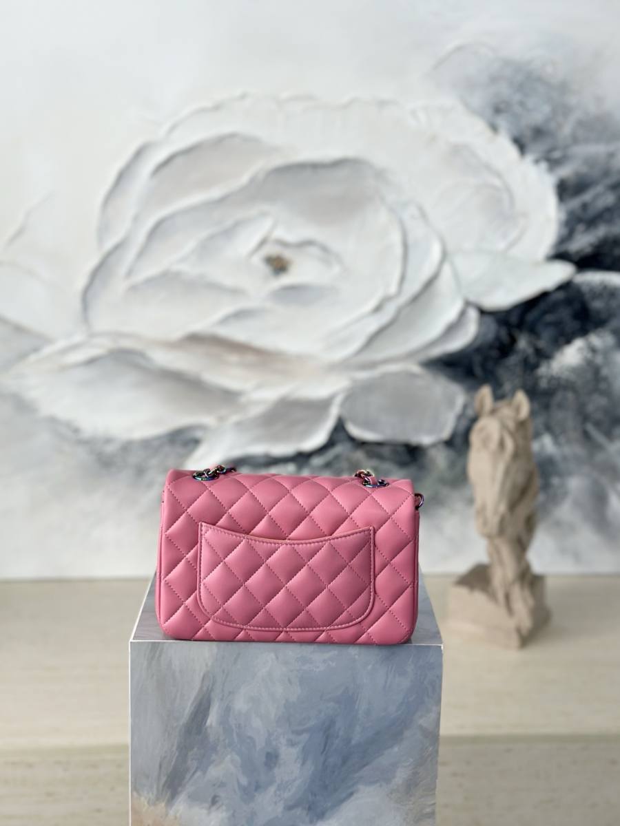 Chanel Classic Flap Small 23 x 14 x 7 58D4