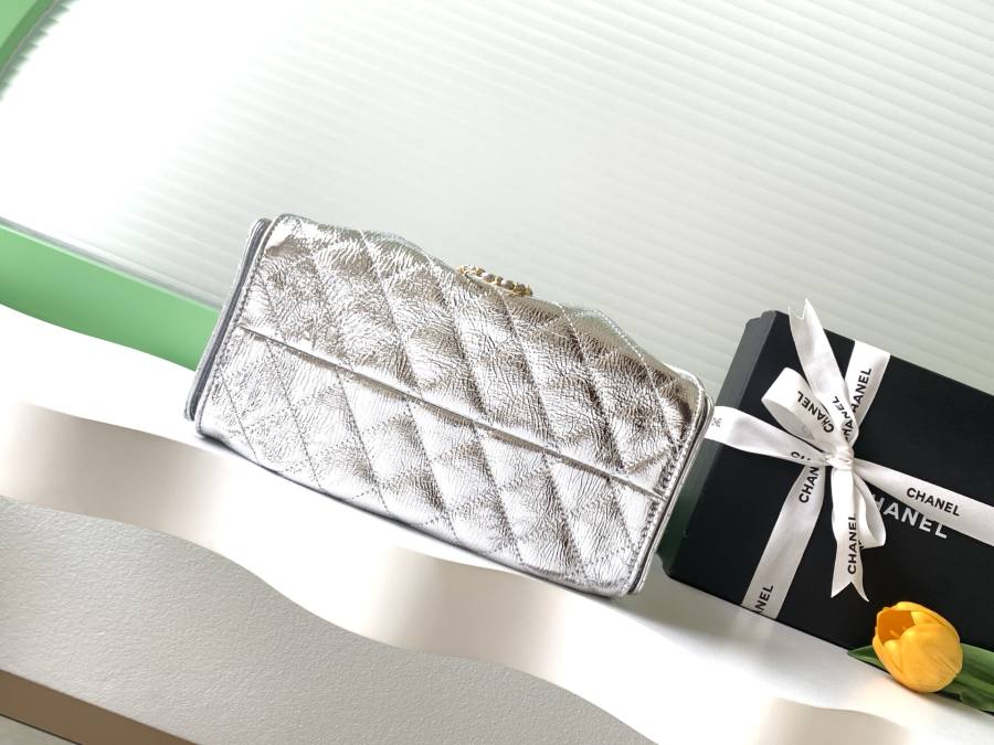 Chanel Hippie Hobo Mini 20 x 16 x 8 C73B