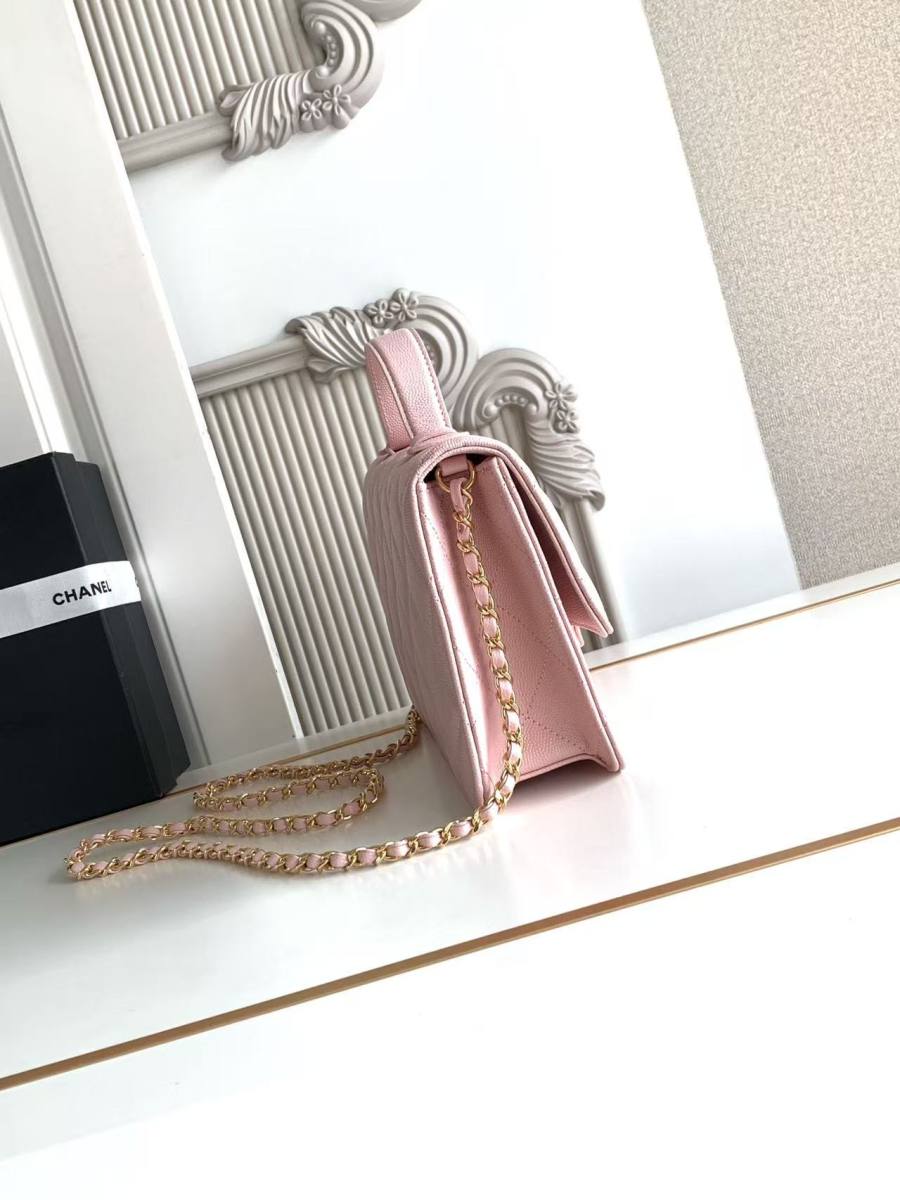 Chanel Panda Flap AS6554 20 x 13 x 6 D447