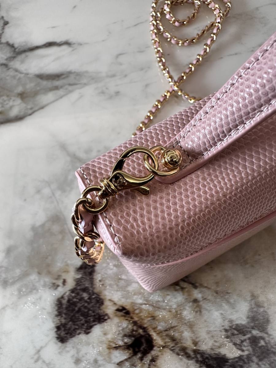 Chanel Vanity with Chain Long AP5488 24 x 12 x 10 Pink BC66