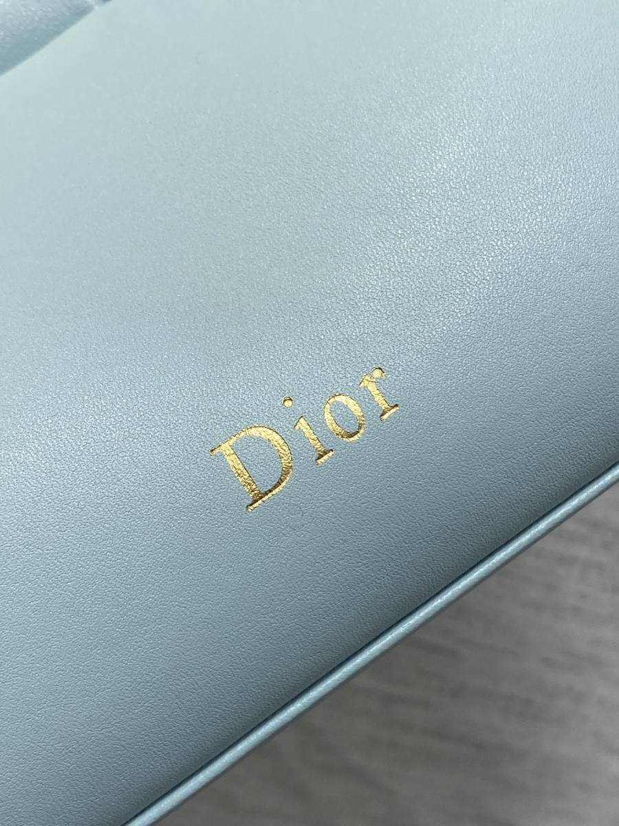 RP 3160000 Dior 2026 Lambskin Bag Lambskin 254C See photo