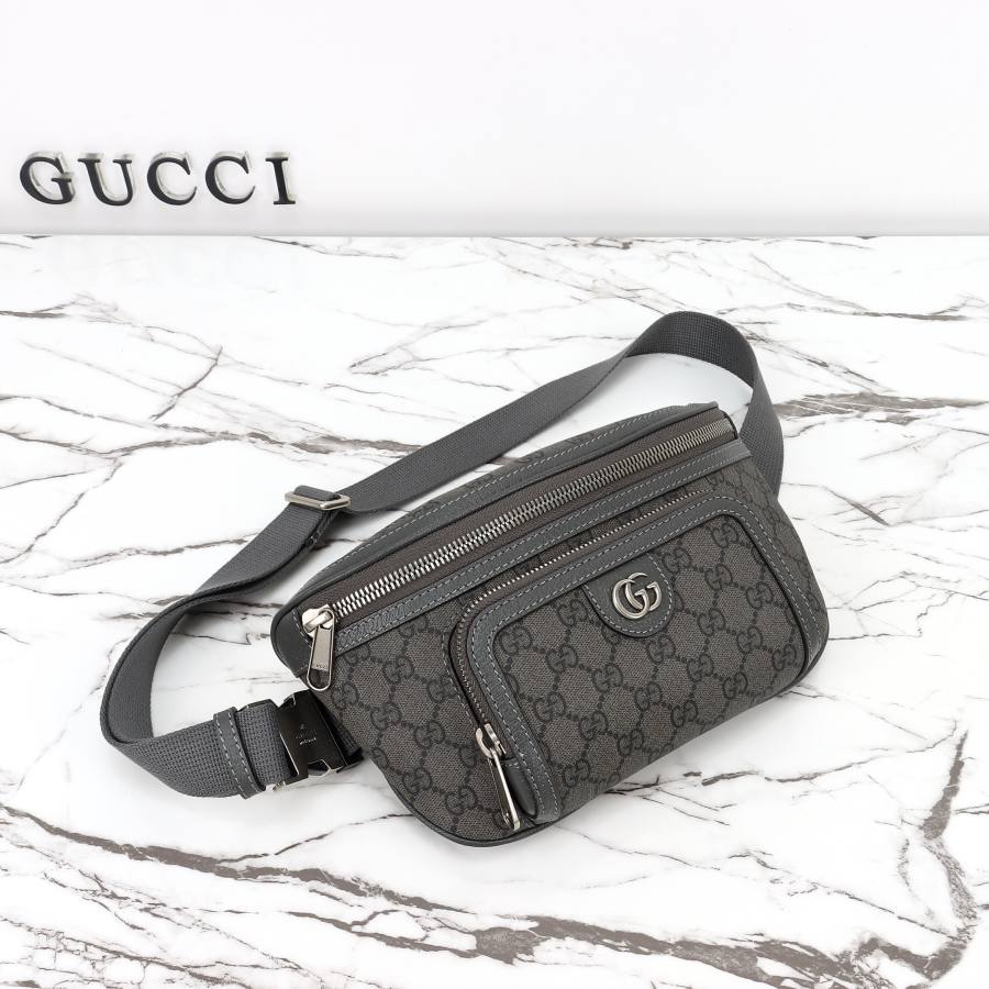 RP 2539000 Gucci 733868 26x13x5 733868 63FD