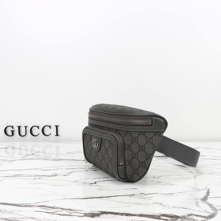 RP 2539000 Gucci 733868 26x13x5 733868 63FD