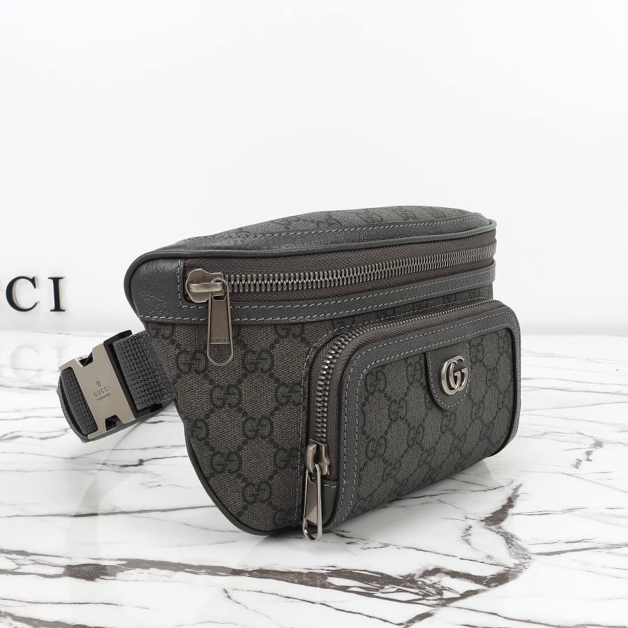 RP 2539000 Gucci 733868 26x13x5 733868 63FD