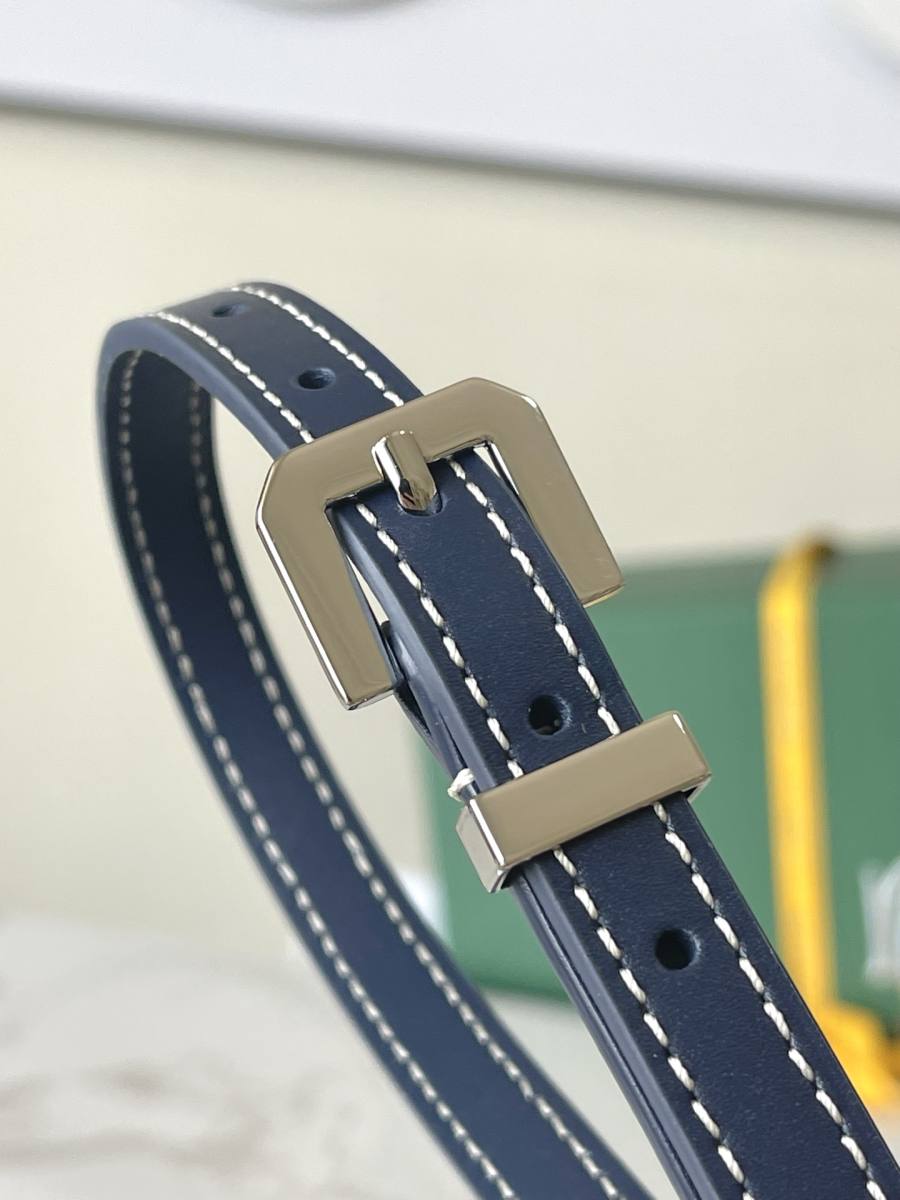 RP 2566000 Goyard Cap-Vert Camera Bag 18x13x8 6DF6