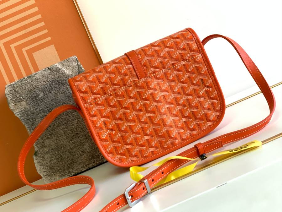 RP 2836000 Goyard Belvédère PM PM 23x16x8 E85F