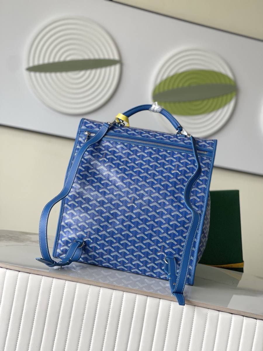 RP 3160000 Goyard Bag 2BFE