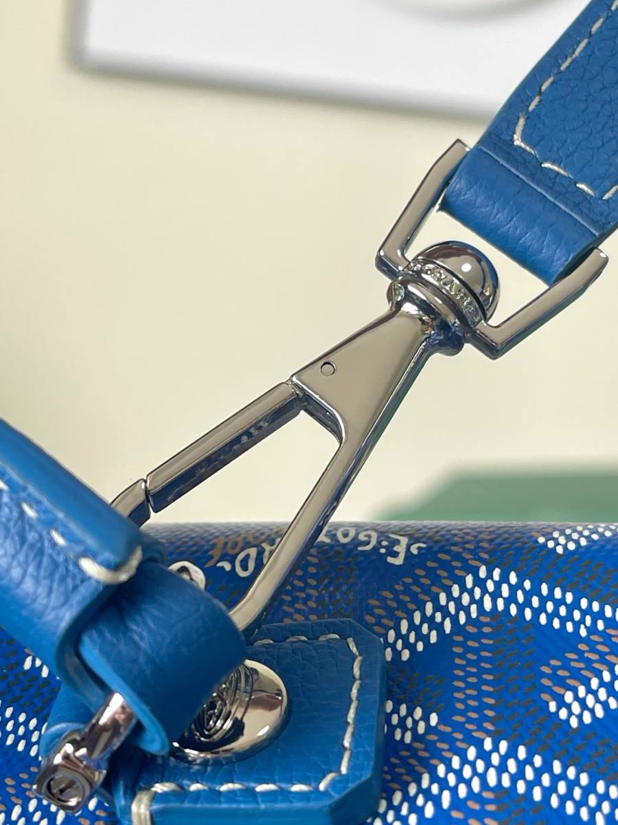 RP 3160000 Goyard Bag 2BFE