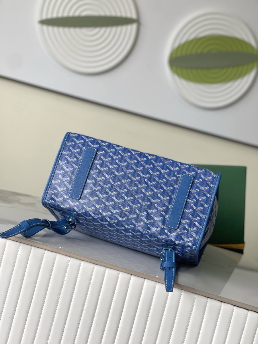 RP 3160000 Goyard Bag 2BFE