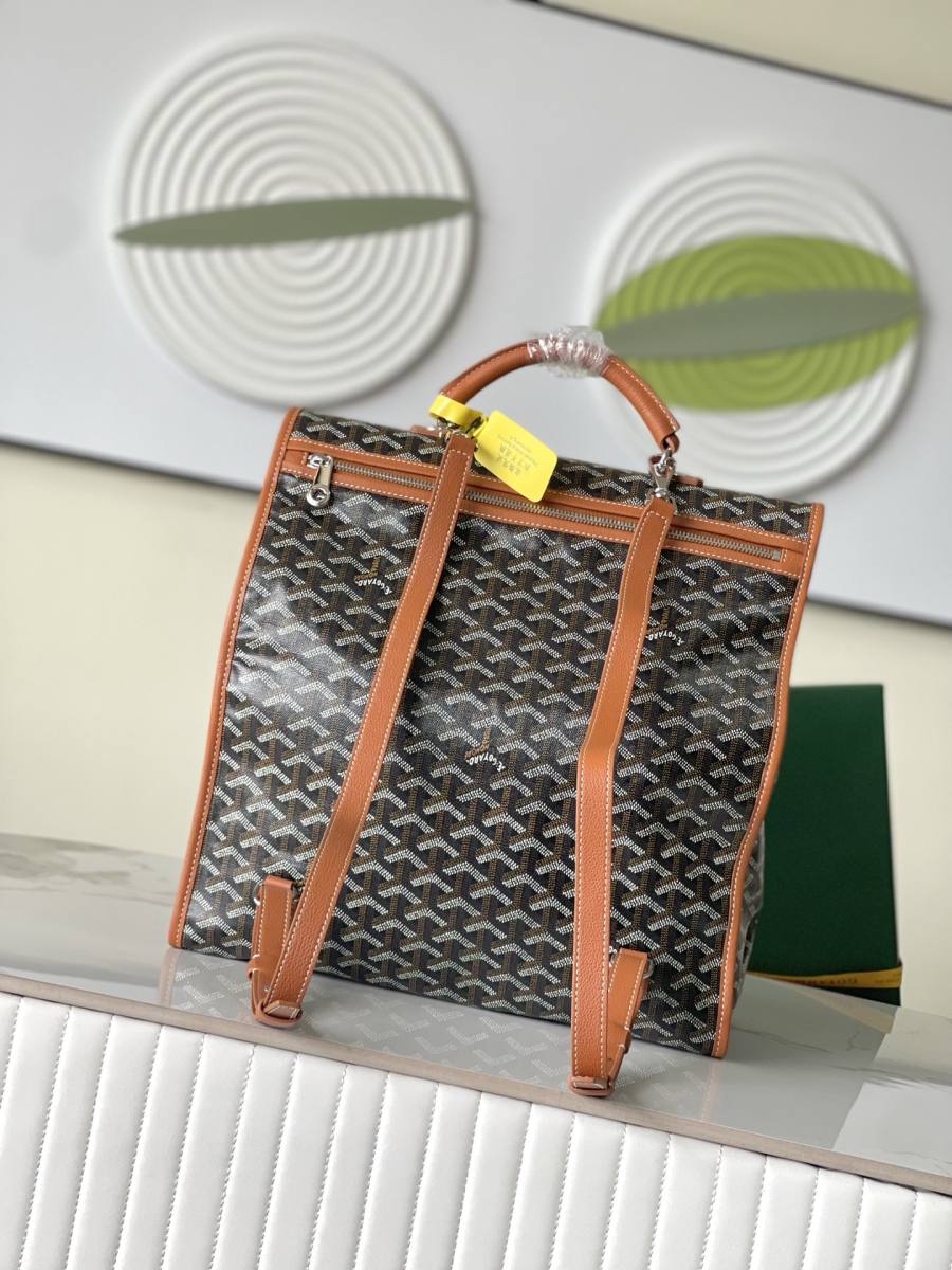 RP 3160000 Goyard Bag 6491