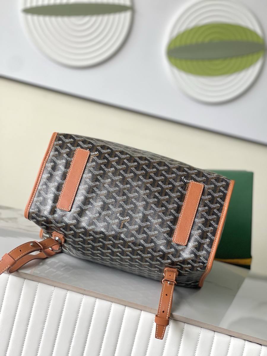 RP 3160000 Goyard Bag 6491