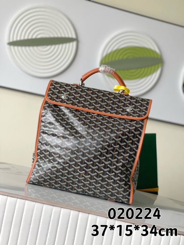RP 3160000 Goyard Bag 6491
