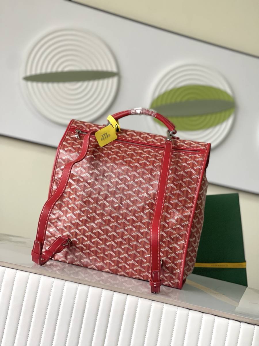 RP 3160000 Goyard Bag D731
