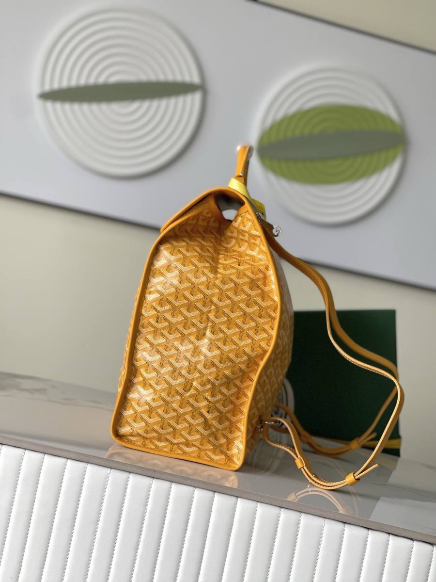 RP 3160000 Goyard Bag F90F