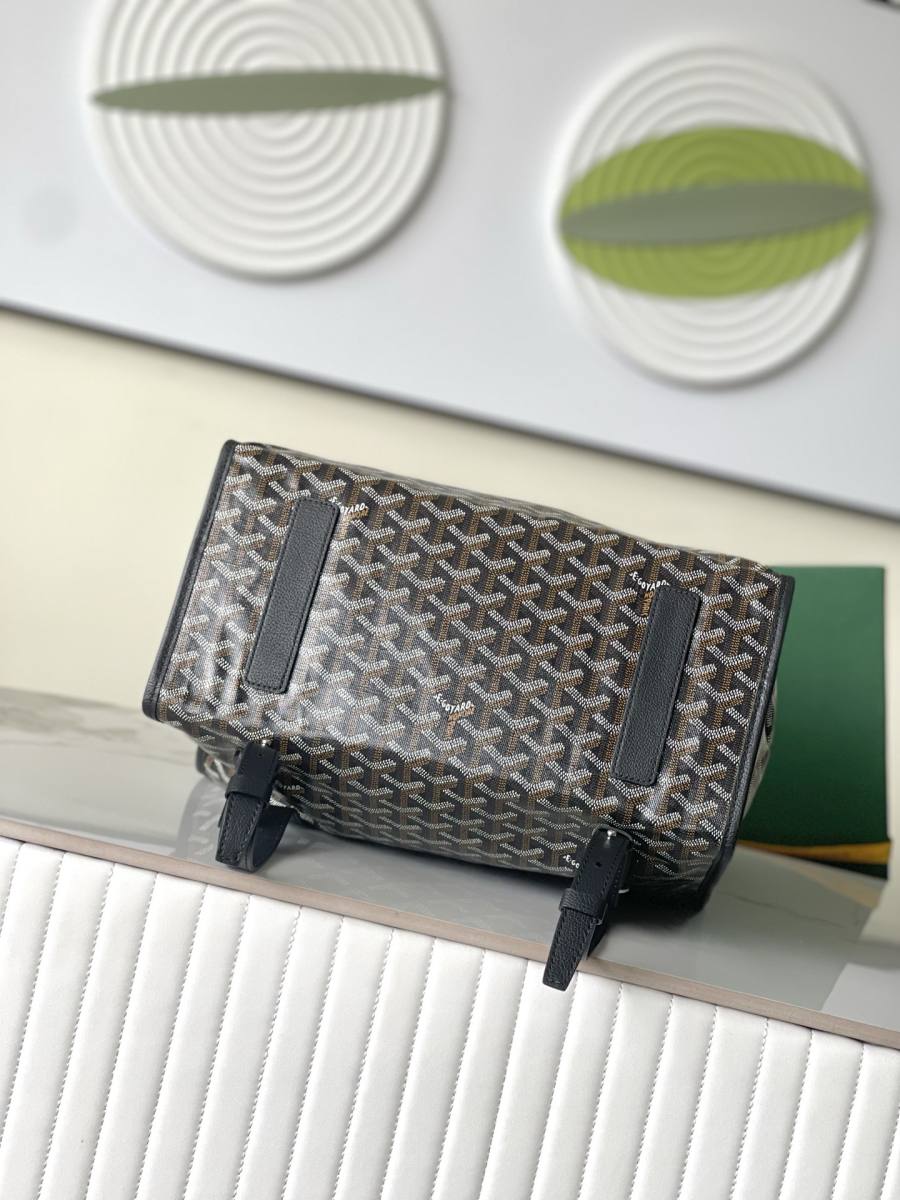 RP 3160000 Goyard Bag FEF3
