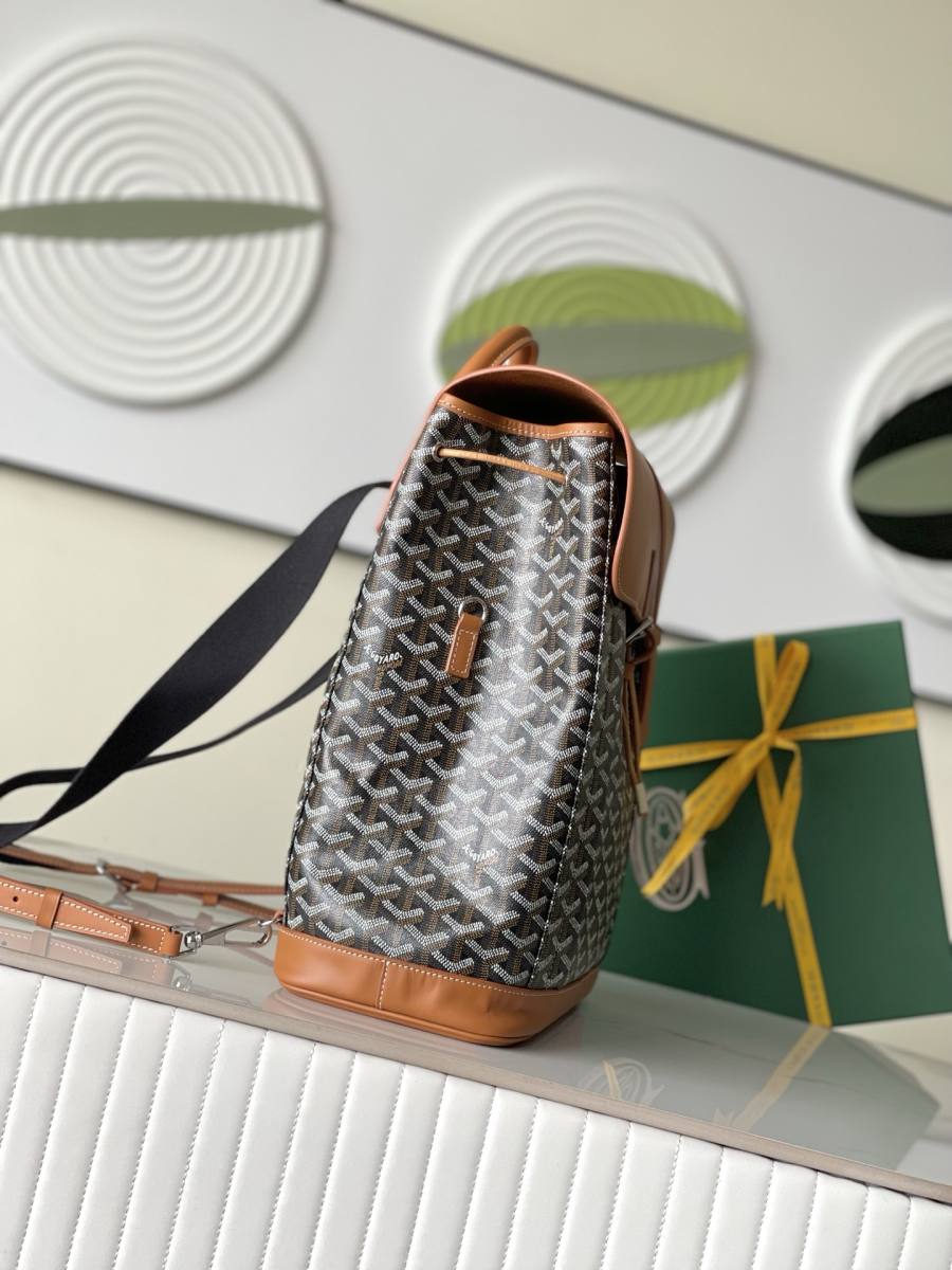 RP 3970000 Goyard Alpin Backpack Backpack D0A9