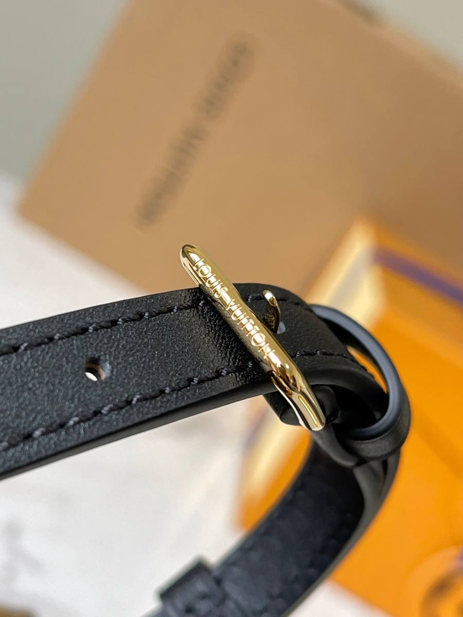 Louis Vuitton Camera Box M82465 18 x 13 x 8 0CCC