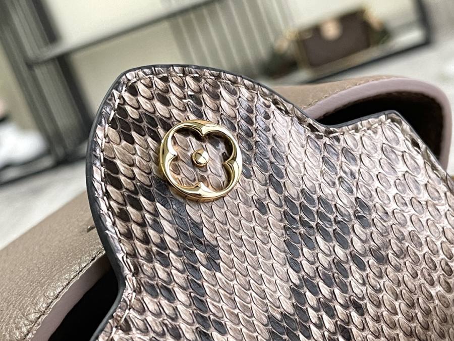 Louis Vuitton Capucines 9D90