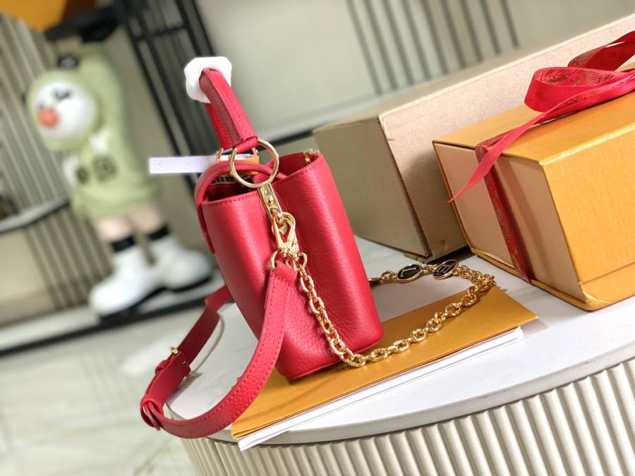 Louis Vuitton Capucines D437