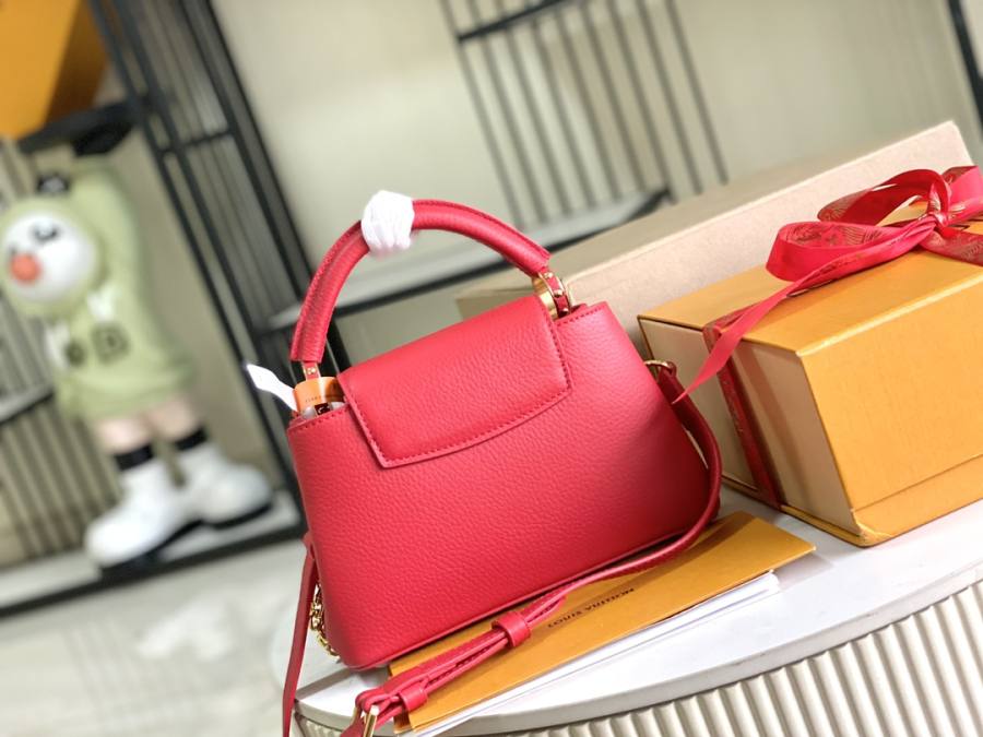 Louis Vuitton Capucines D437
