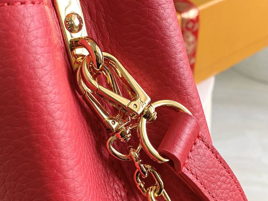 Louis Vuitton Capucines D437