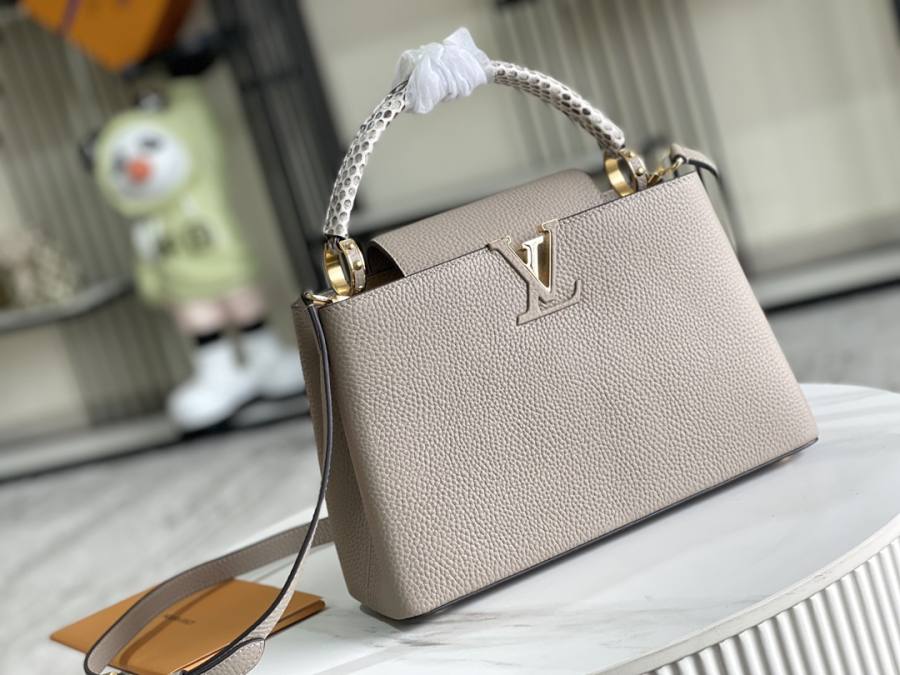 Louis Vuitton Capucines Elephant Grey C4B5