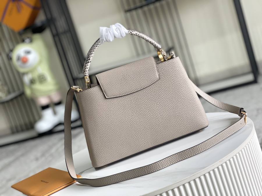 Louis Vuitton Capucines Elephant Grey C4B5