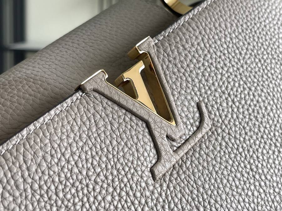 Louis Vuitton Capucines Elephant Grey C4B5