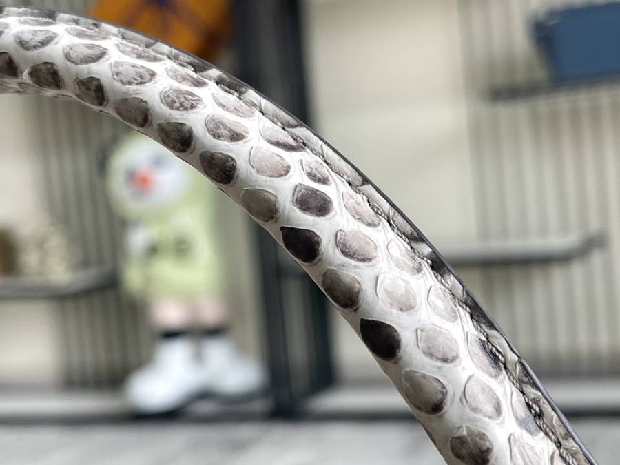 Louis Vuitton Capucines Elephant Grey C4B5