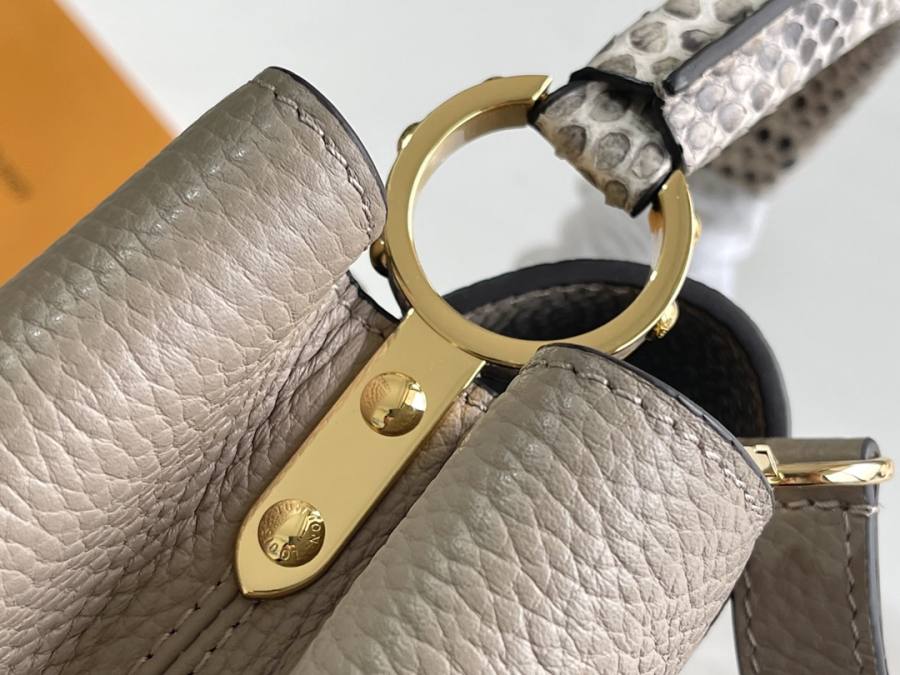 Louis Vuitton Capucines Elephant Grey C4B5