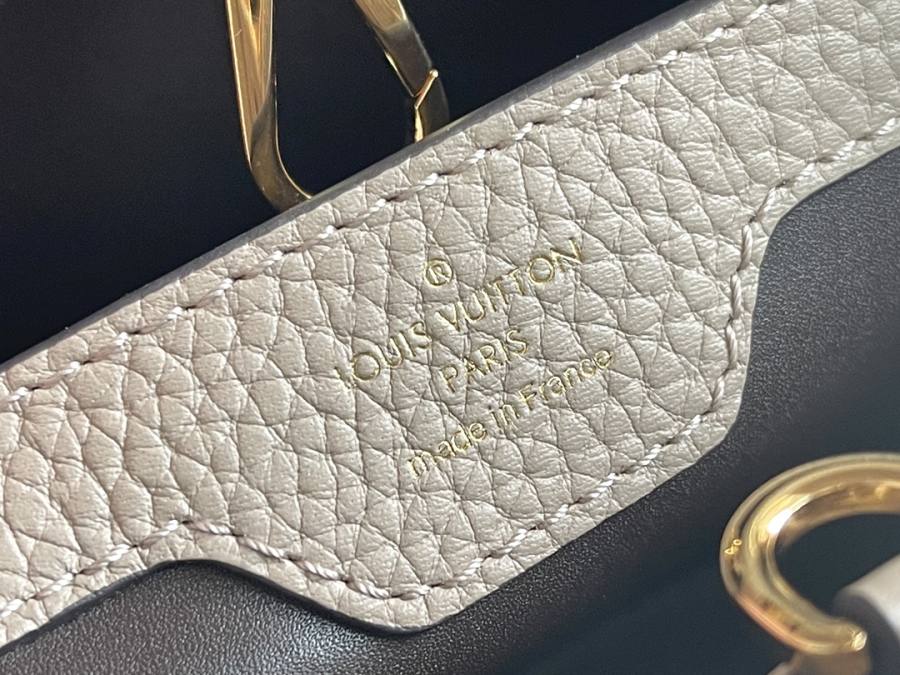 Louis Vuitton Capucines Elephant Grey C4B5