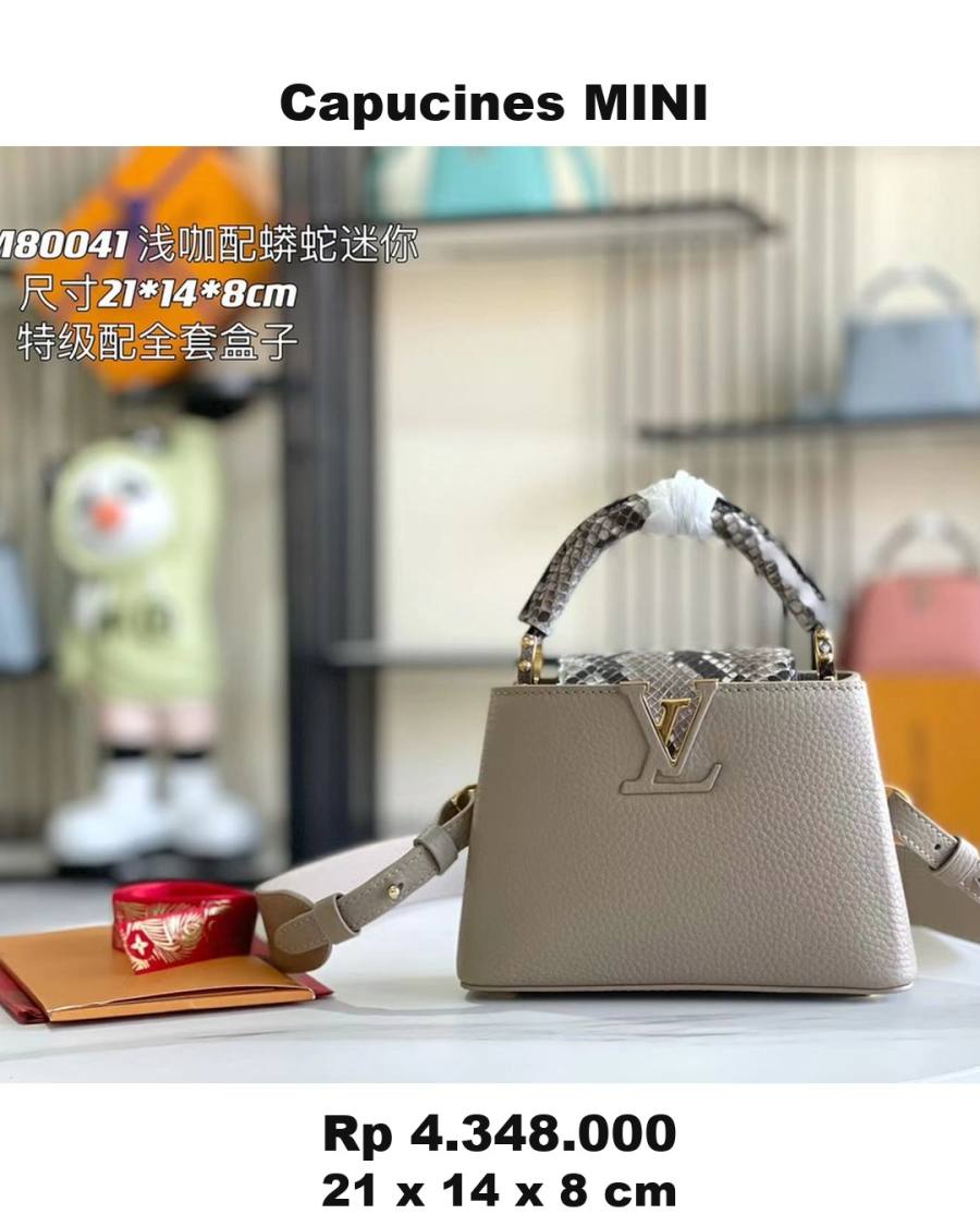 Louis Vuitton Capucines F810