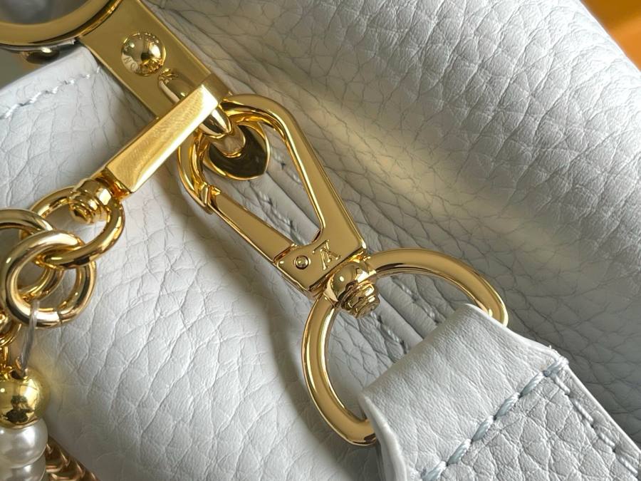 Louis Vuitton Capucines FB13