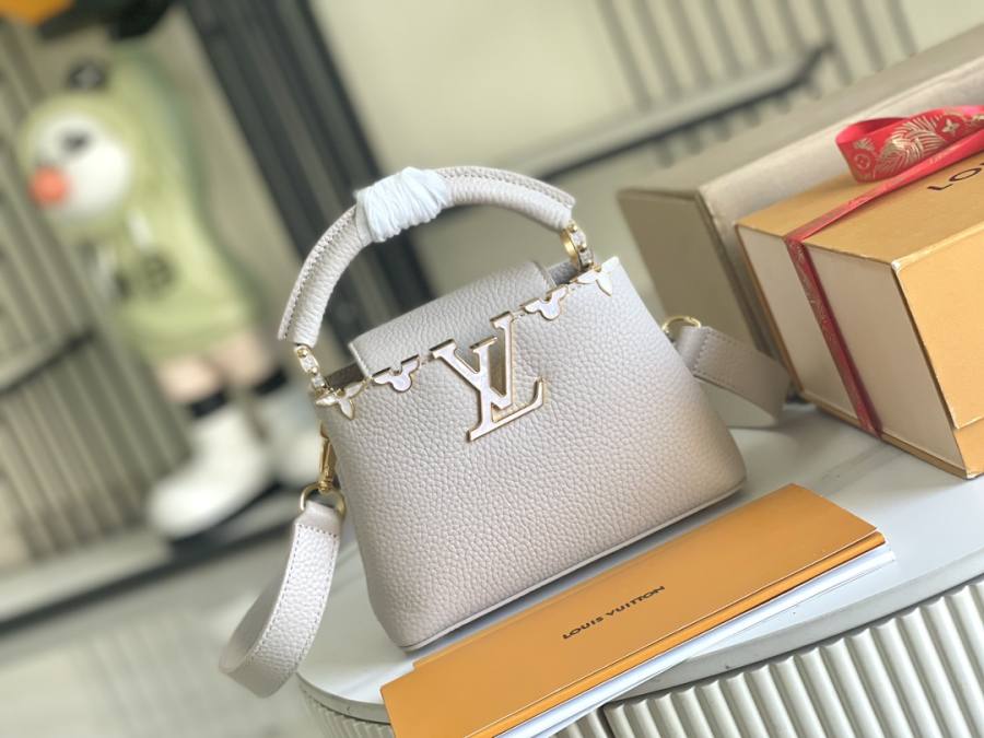 Louis Vuitton Capucines Grey C8A1