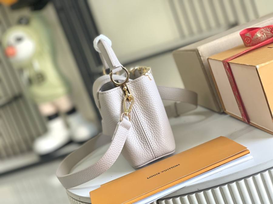 Louis Vuitton Capucines Grey C8A1
