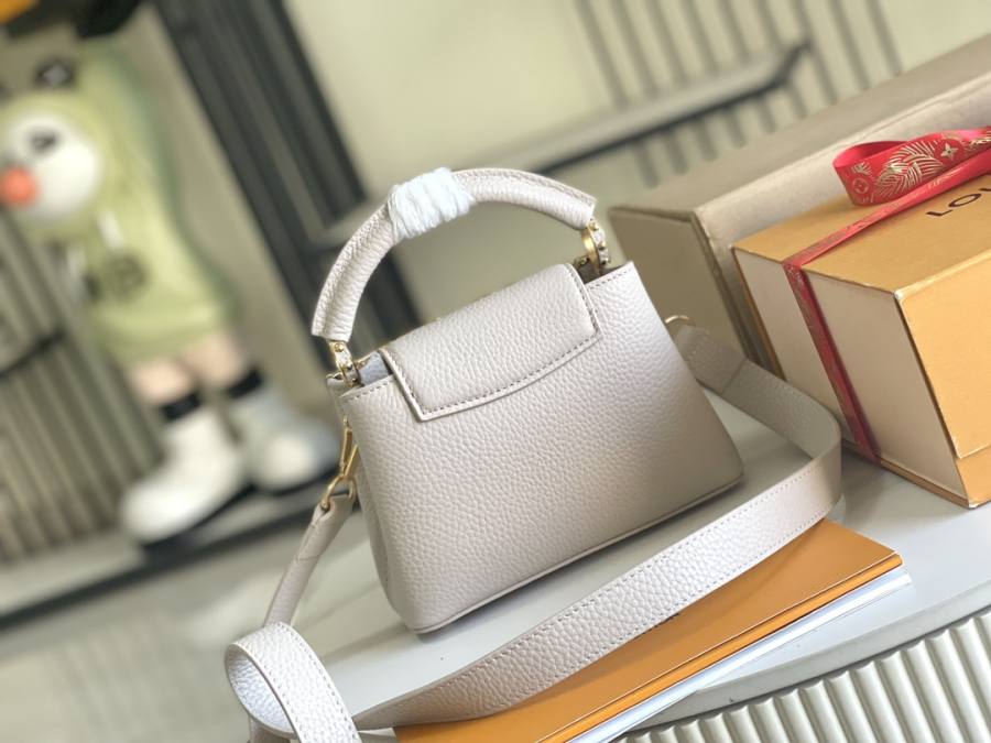 Louis Vuitton Capucines Grey C8A1