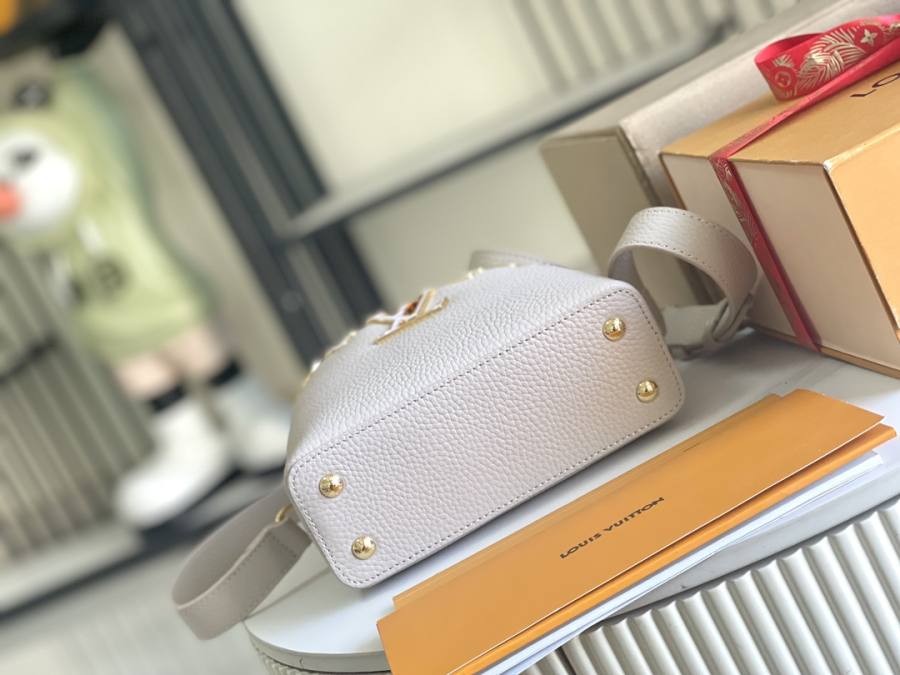 Louis Vuitton Capucines Grey C8A1