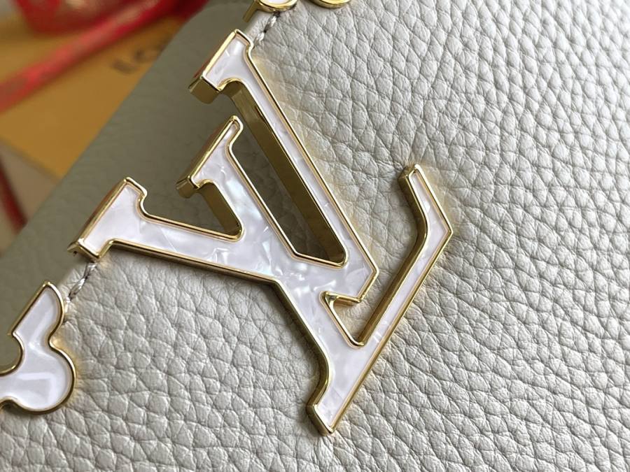 Louis Vuitton Capucines Grey C8A1