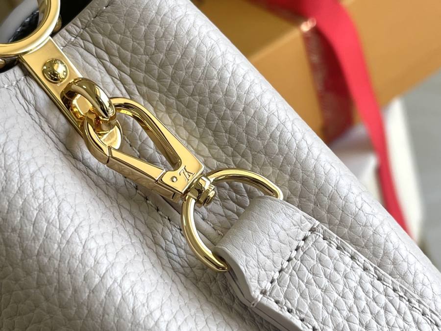 Louis Vuitton Capucines Grey C8A1