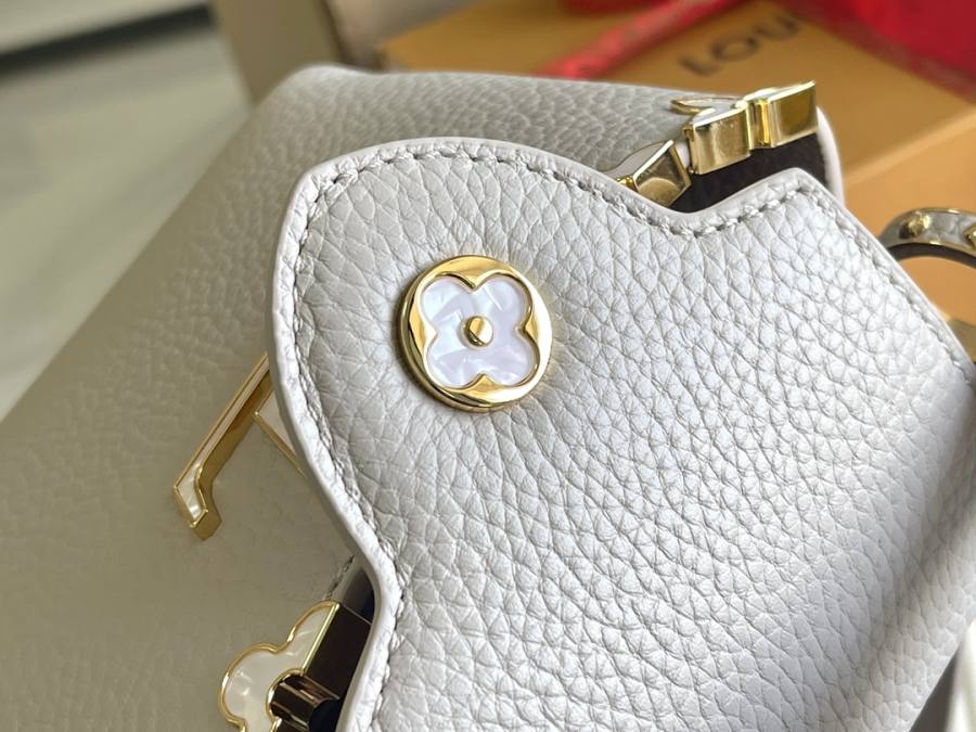 Louis Vuitton Capucines Grey C8A1
