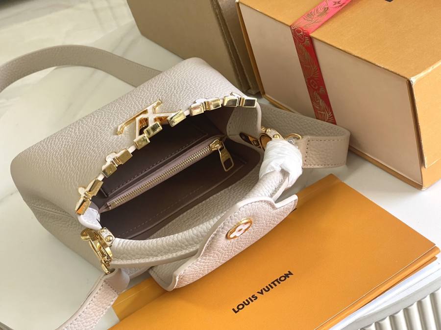 Louis Vuitton Capucines Grey C8A1
