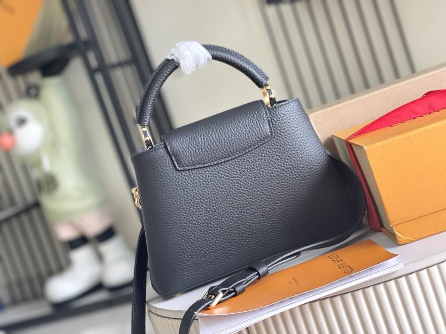 Louis Vuitton Capucines M27308 B442