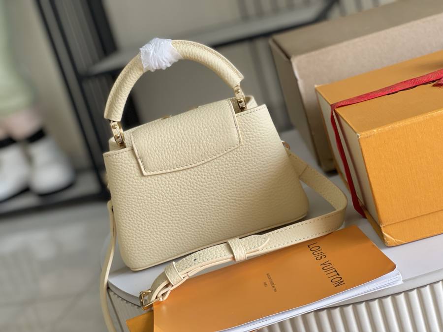 Louis Vuitton Capucines M29500 242F