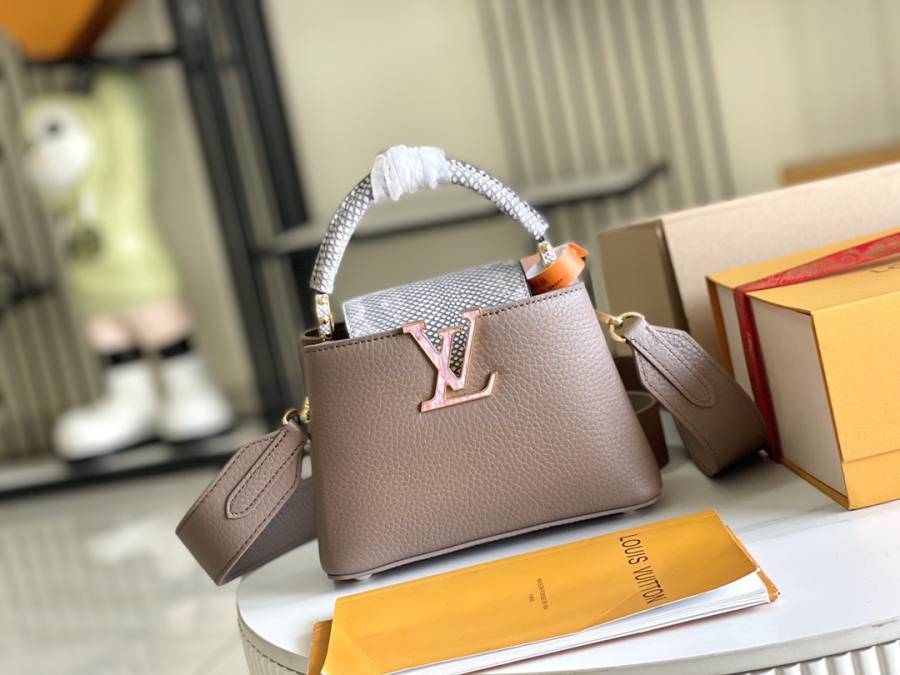Louis Vuitton Capucines Mini Elephant Grey 725E