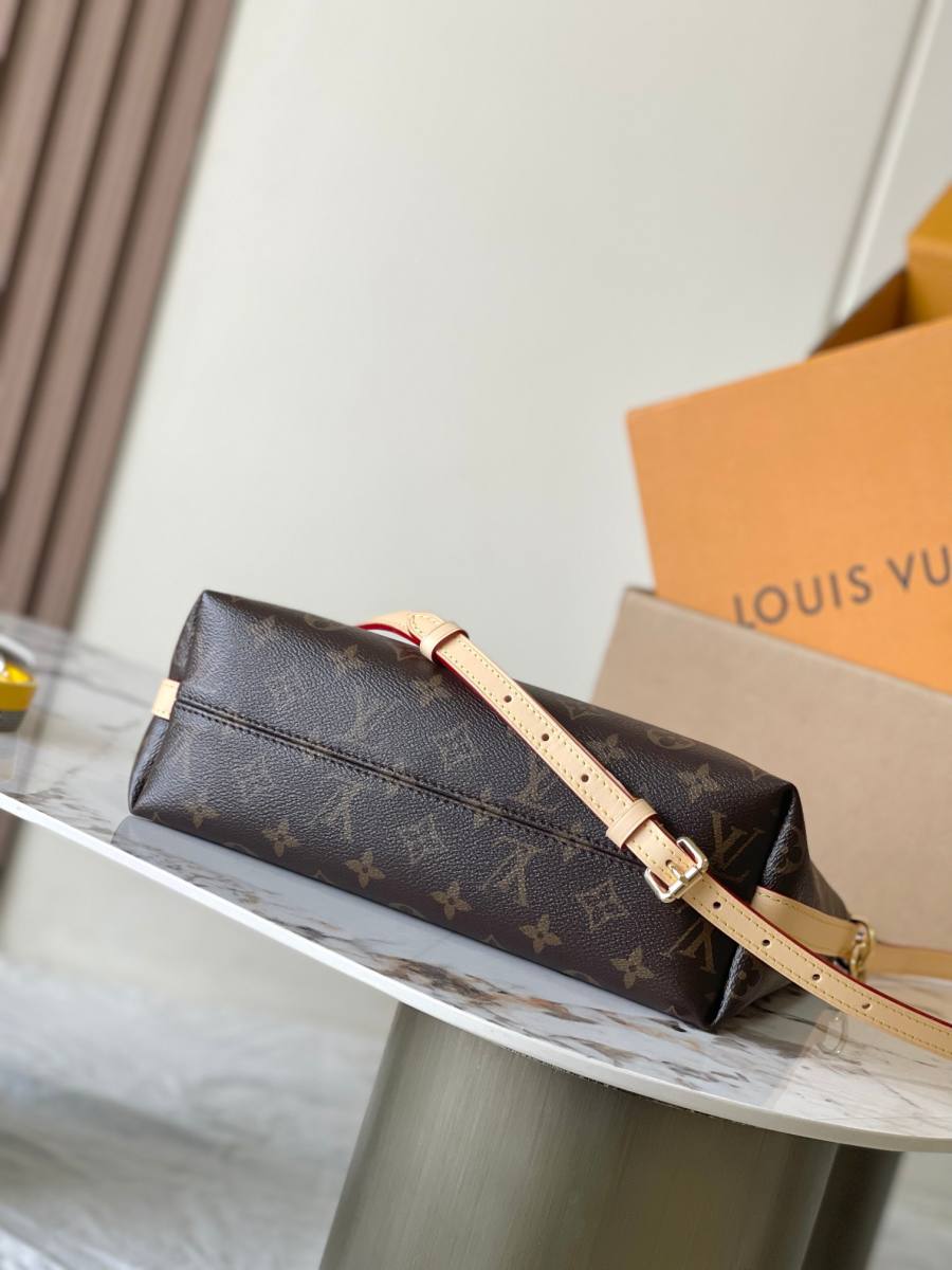 Louis Vuitton Multipass M27825 30 x 2 703A