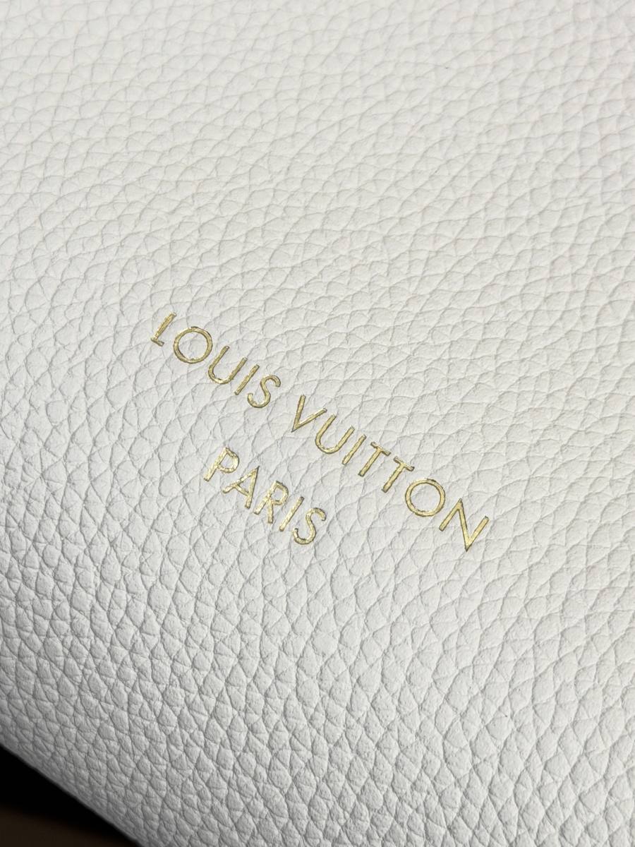 Louis Vuitton Multipass M29094 30 x 26 x 10 78A6