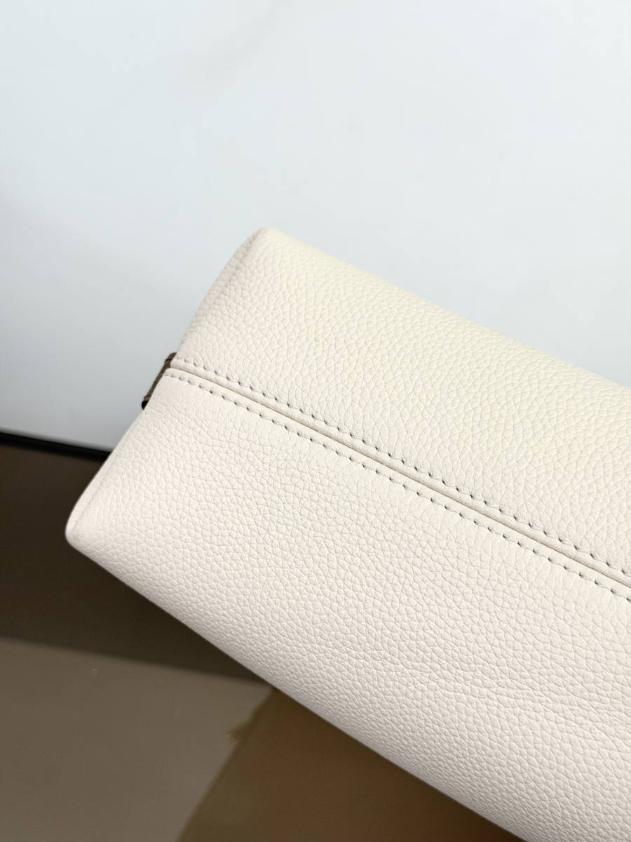 Louis Vuitton Multipass M29094 30 x 26 x 10 78A6