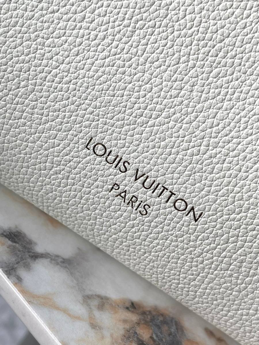 Louis Vuitton Multipass M29094 30 x 26 x 10 DF32