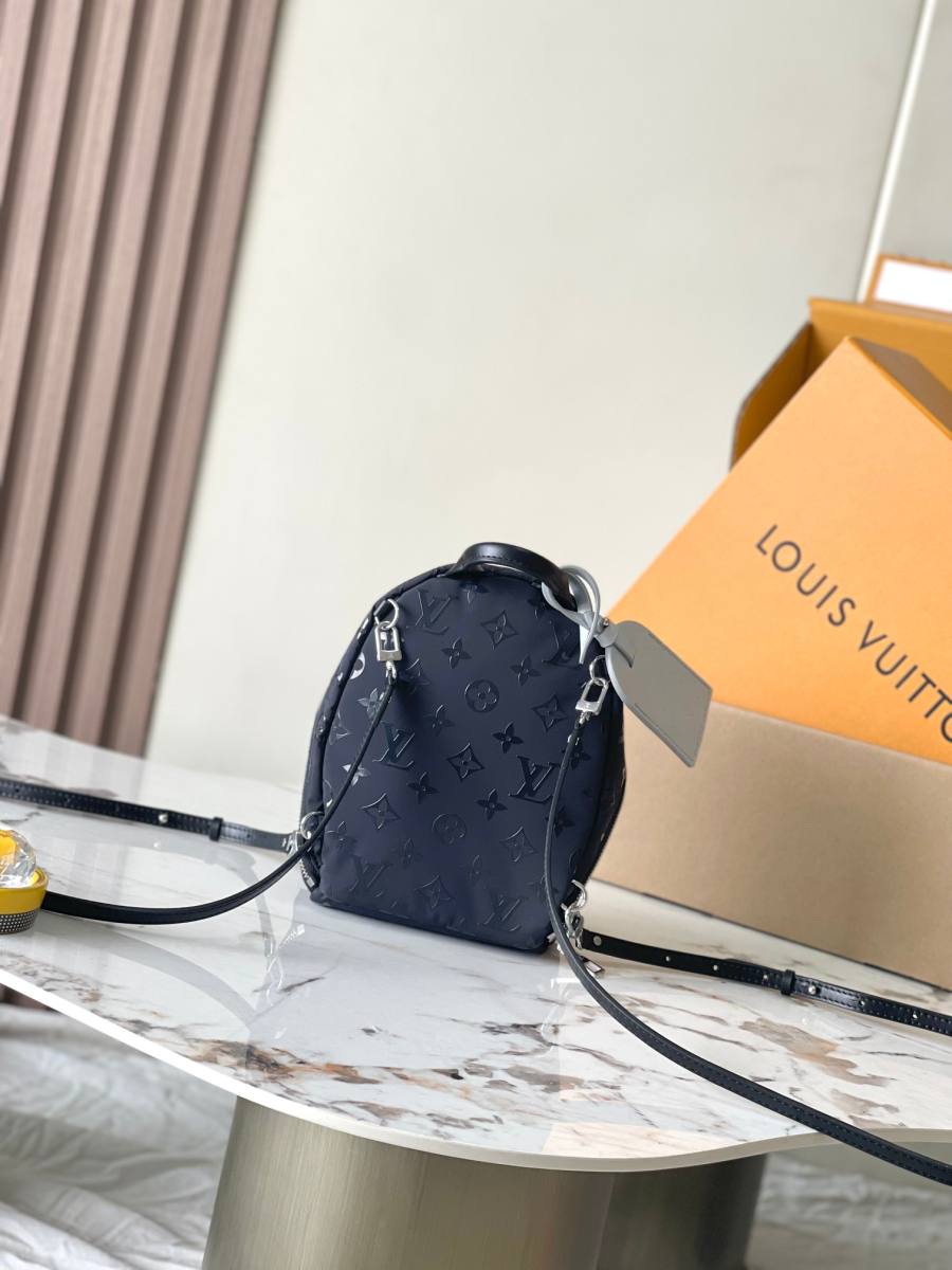 Louis Vuitton Palm Springs Mini M11780 17 x 22 x 10 Black C880